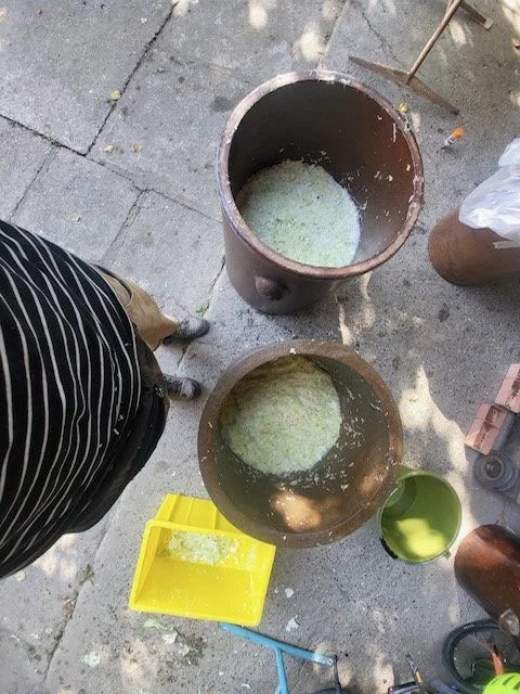 Wie Sauerkraut Dir durch den Winter hilft. – Bild 4
