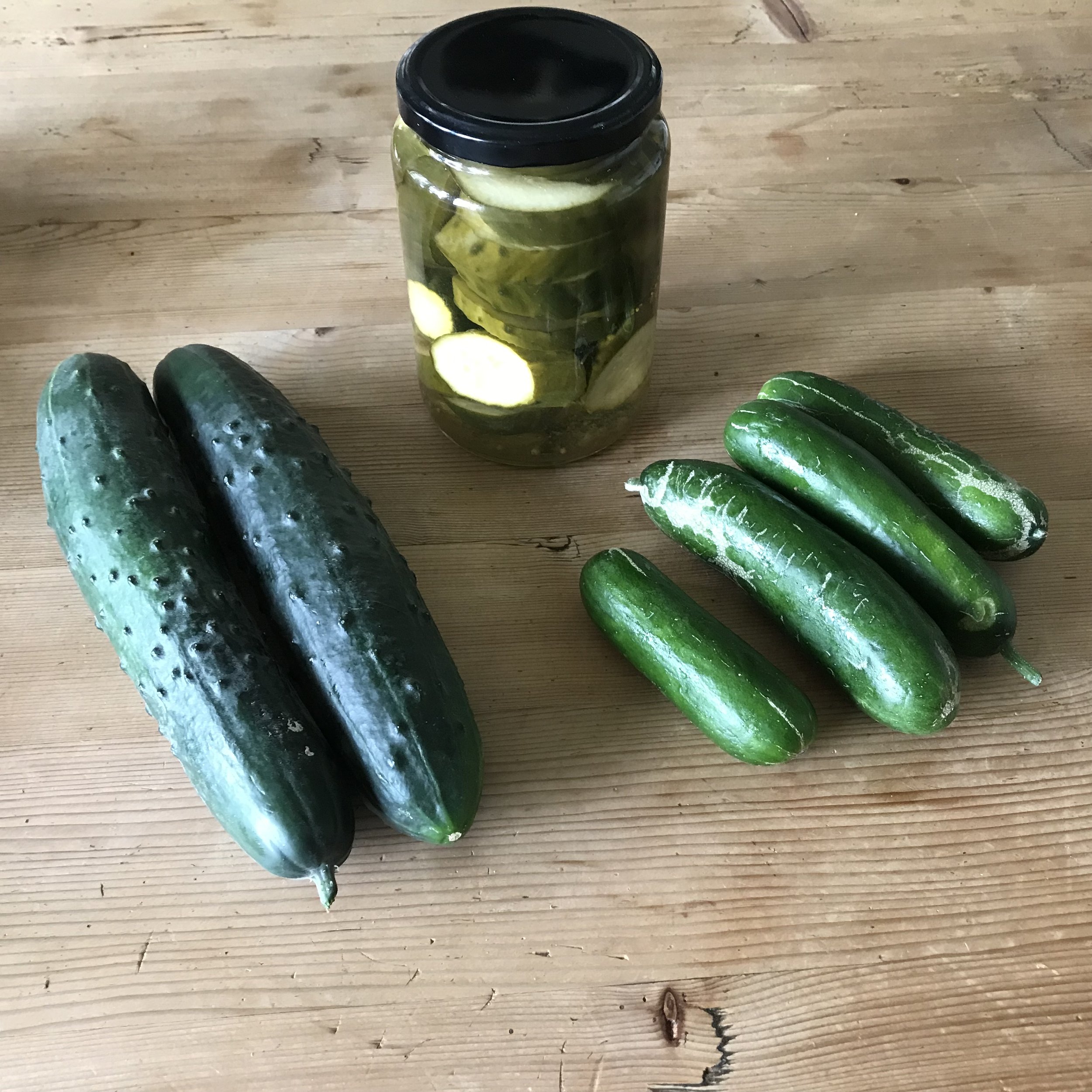 Gurkenrezept