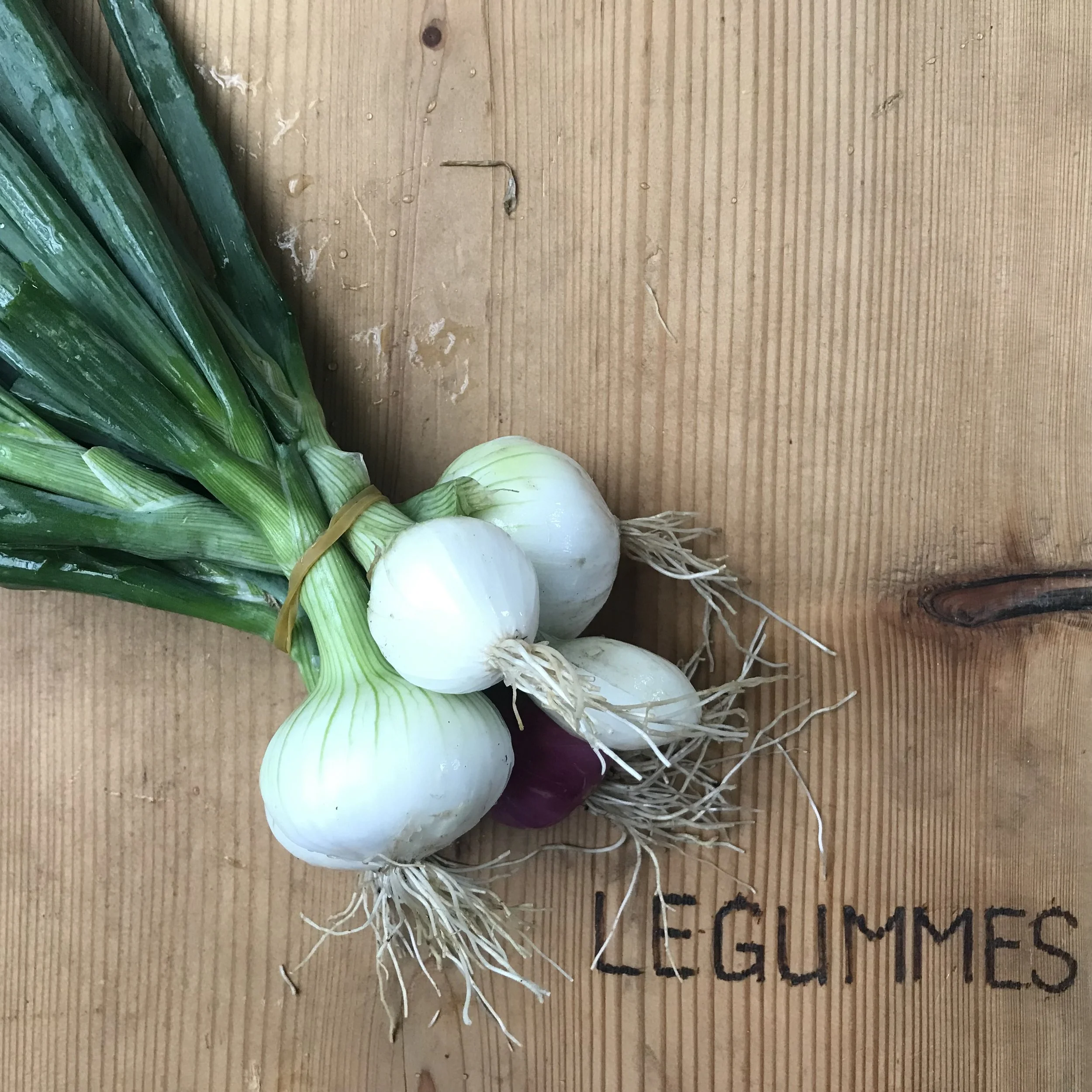Ideen für Rosenkohl und Weisskabis – Bild 2
